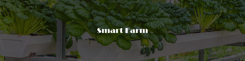 Smart Farm.jpg